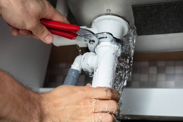 Best Professional water damage repair  in Alamosa East, CO