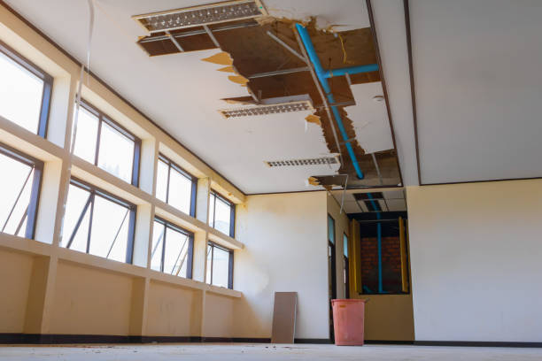 Trusted Alamosa East, CO Water damage restoration Experts