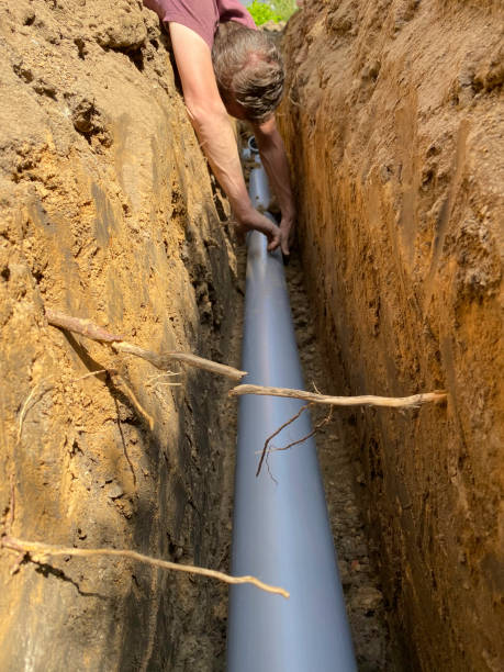 Best Flood damage cleanup  in Alamosa East, CO