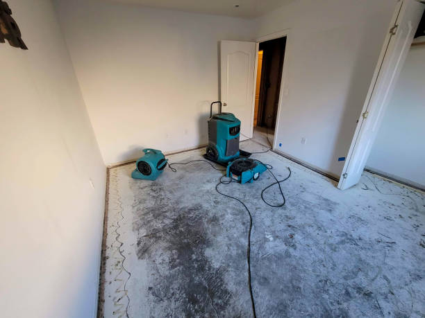Best Sewage cleanup and water damage restoration  in Alamosa East, CO