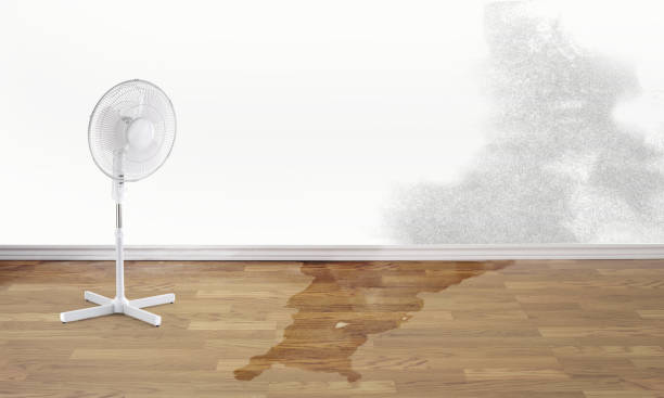 Sewage cleanup and water damage restoration in Alamosa East, CO