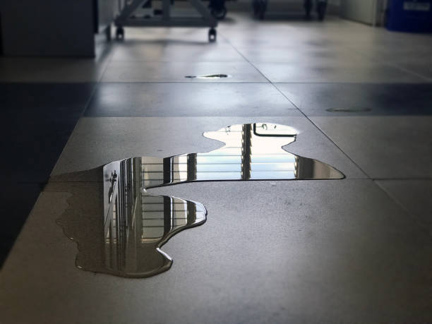 Best Water damage contractors near me  in Alamosa East, CO