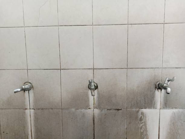 Fire Damage Restoration in Alamosa East, CO