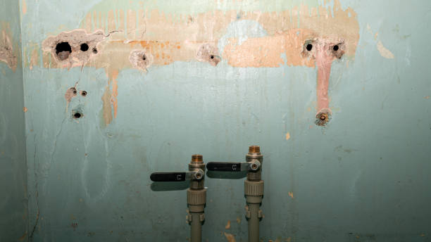 Best Carpet water damage restoration  in Alamosa East, CO