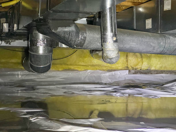 Best Flood restoration services  in Alamosa East, CO