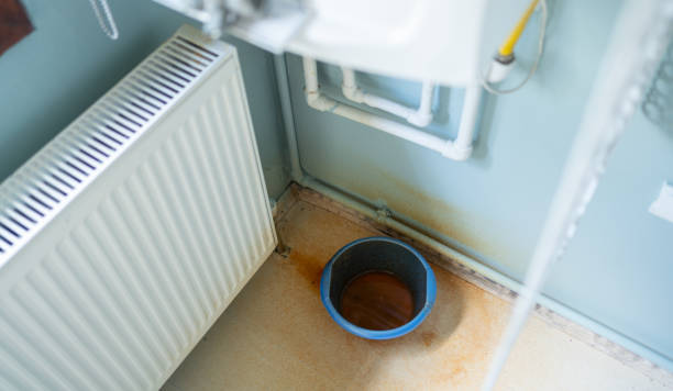 Best Water damage restoration company  in Alamosa East, CO