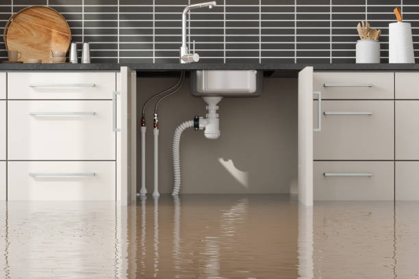 Best Water damage restoration near me  in Alamosa East, CO