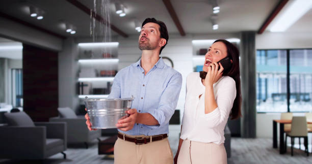 Best Commercial water damage restoration  in Alamosa East, CO