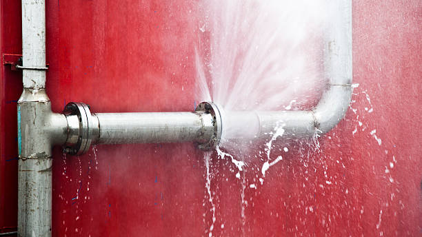Best Professional water damage repair  in Alamosa East, CO